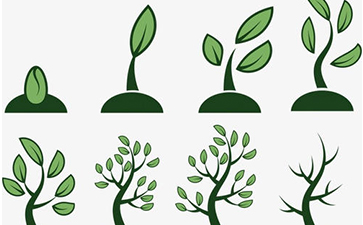 种子防窜货系统