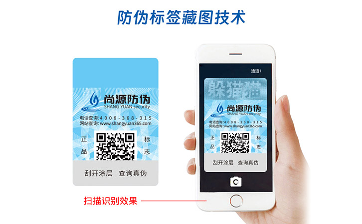 藏图防伪技术